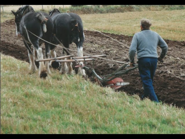 Part 2 - Nana learns about the family farmers of West Lochridge Kilbirnie Ayrshire - abt 1550 - 1944