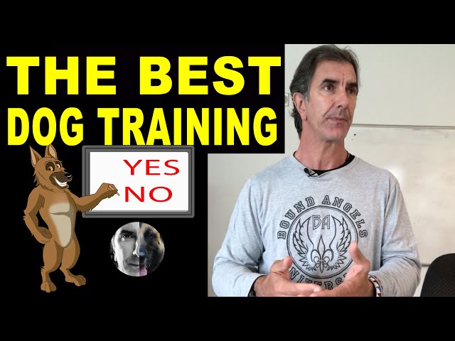 What is the Best Dog Training Method? Robert Cabral - Dog Training