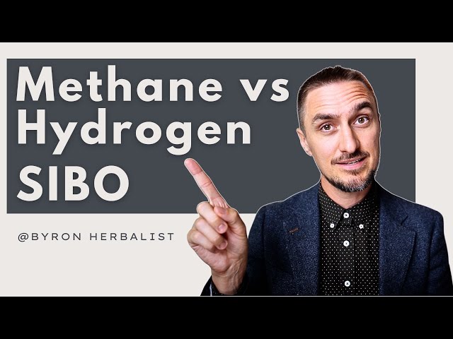 Common SIBO Symptoms | Are You Methane or Hydrogen Dominant SIBO?
