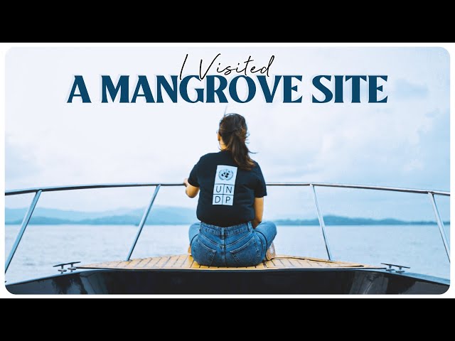 I Visited A Mangrove Site | #BioDiversityDay | RealTalkTuesday | MostlySane