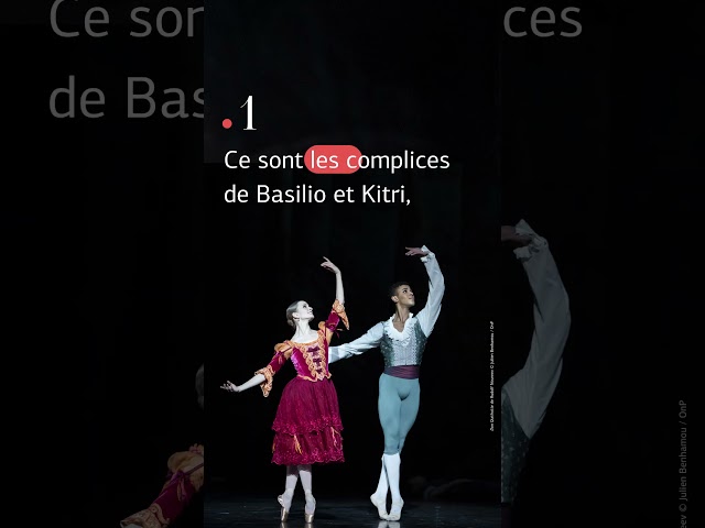 aria - la VRAIE-FAUSSE histoire de DON QUICHOTTE #ballet #shorts