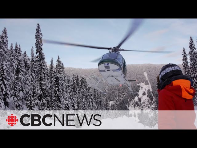 3 dead, 4 in critical condition after B.C. heli-skiing crash