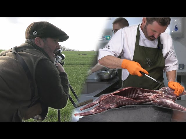 Stalking Invasive Muntjac and Wild Fallow| Full Muntjac Butchery and Restaurant Cookup