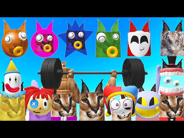 How to get ALL 21 NEW FLOPPA MORPHS in Find the Floppa Morphs for Roblox