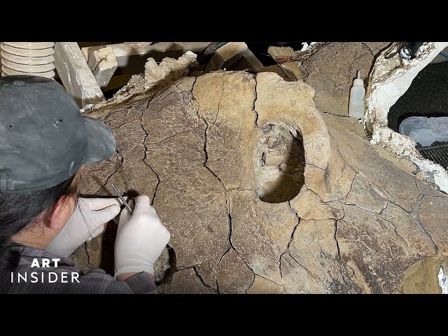 How A Paleontologist Cleans Dinosaur Fossils | Art Insider