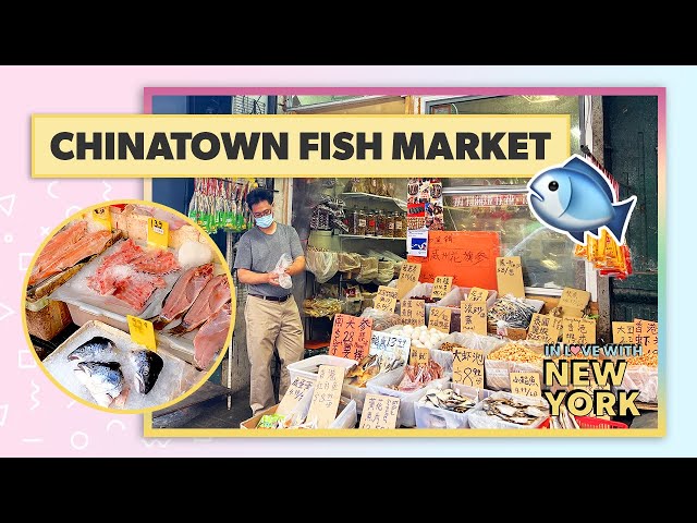 🇨🇳🐟 Chinatown Fish Market on Grand Street, NYC - Chinatown Seafood & Produce Market | June 2022