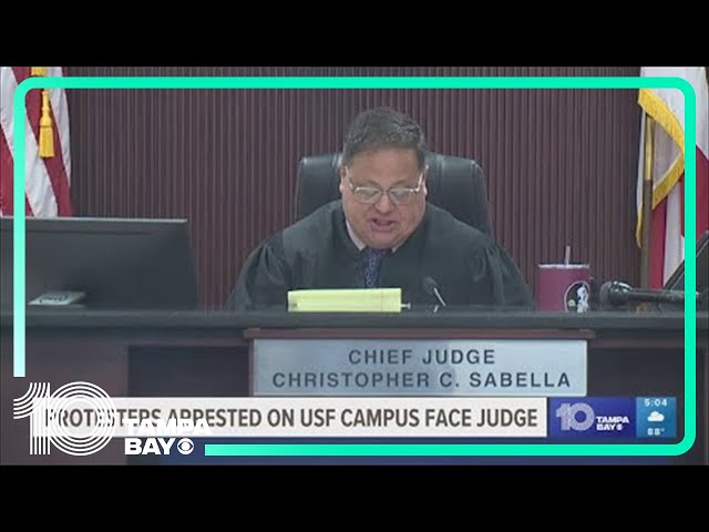 Protesters arrested on USF campus appear in court