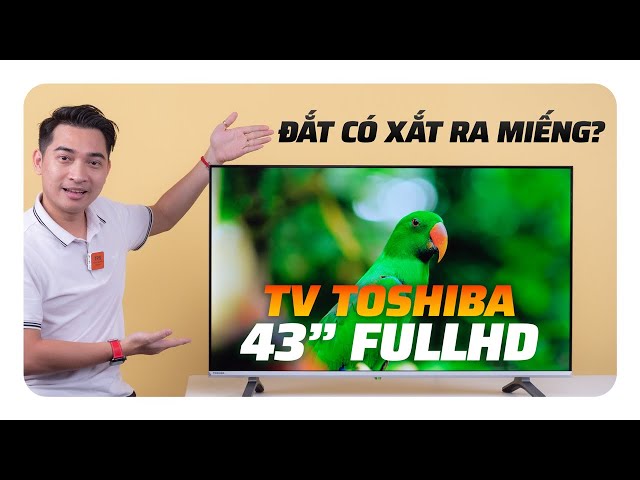 Trải nghiệm Tivi Toshiba 43” FullHD giá cao nhưng bán vẫn chạy? Lý do là gì?