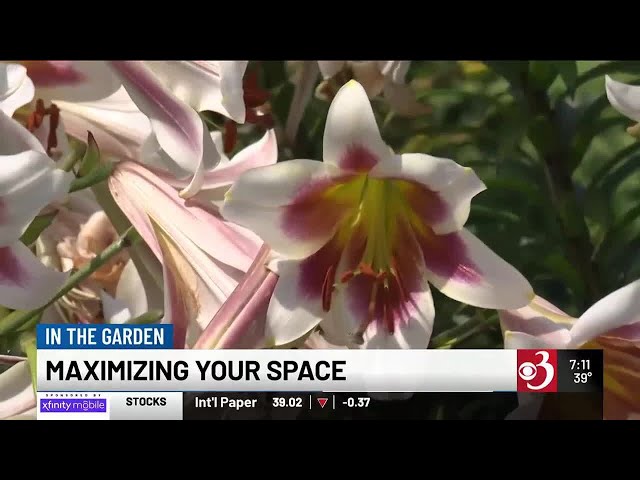 In the Garden: Maximizing your space