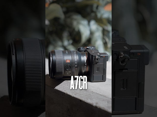 Leica Q2 vs Sony A7CR. Can you tell the difference?