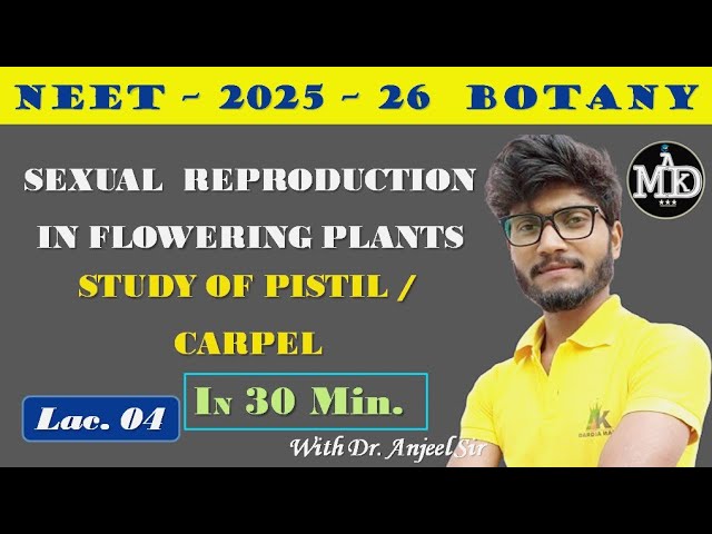 12 CLASS CHAPTER 1| L - 4 SEXUAL REPRODUCTION IN FLOWERING PLANTS WITH ANJEEL SIR| STUDY OF PISTIL