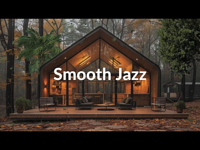 Rain Forest Space in Cabin | Jazz Positive for Work, Study and Relaxation