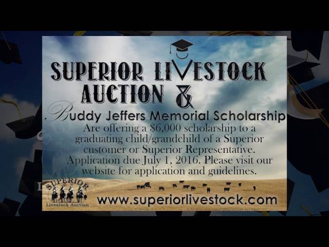 Superior Livestock Buddy Jeffers Scholarship