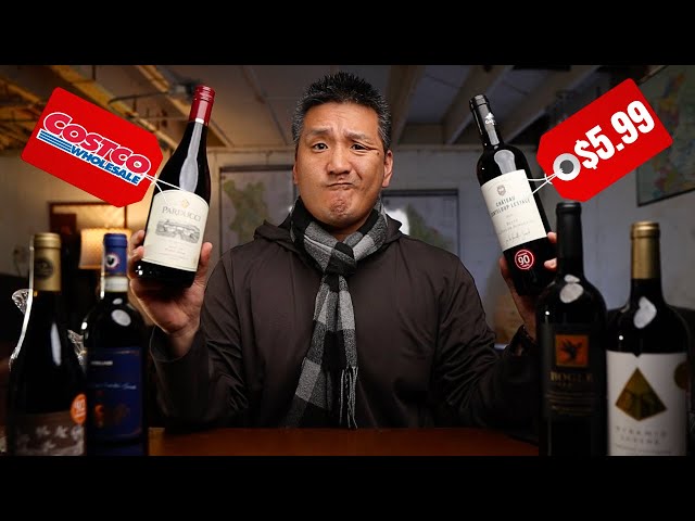 Tasting 6 RED Wines from COSTCO under $15...