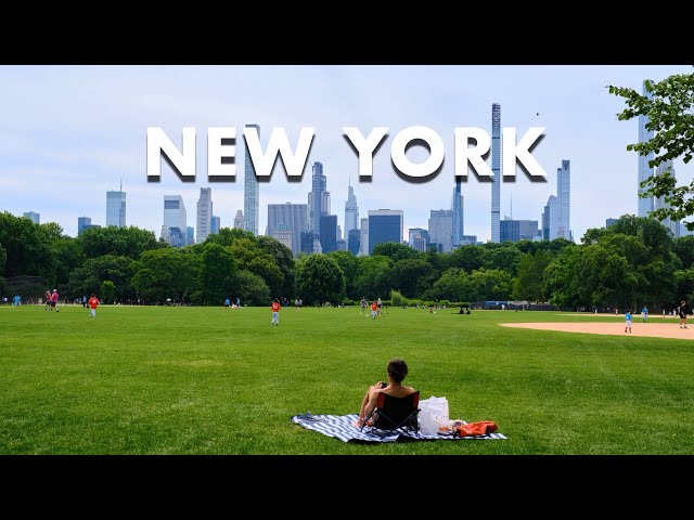 NYC Photography - Central Park (June 2024)