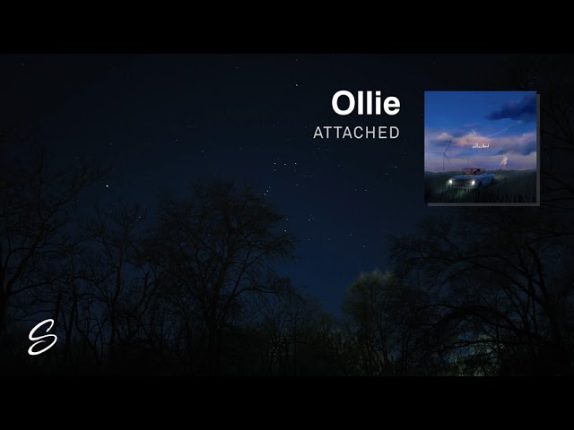 Ollie - Attached