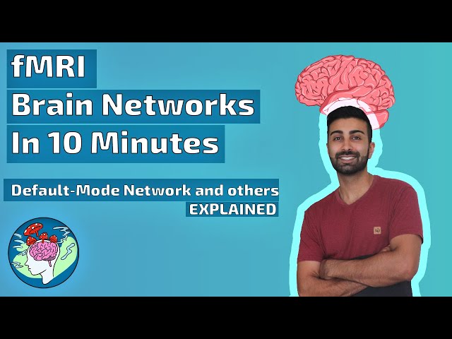 fMRI Brain Networks in 10 Minutes | Default-Mode Network and Others Explained