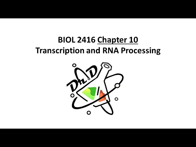 BIOL2416 Chapter 10 - Transcription and RNA Processing
