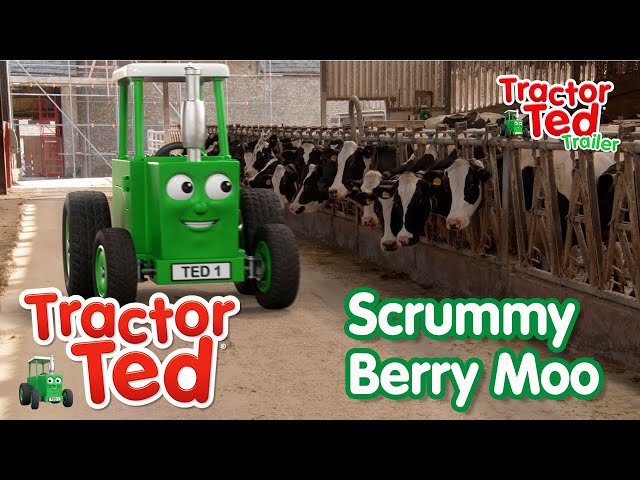 Scrummy Berry Moo 🍦 | New Tractor Ted Trailer | Tractor Ted Official Channel