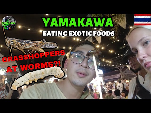 Thailand Exotic Foods at Jodd Fairs Night Market