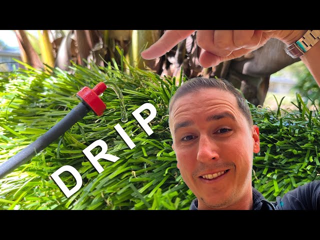 How to Install a Rain Bird Drip Irrigation System