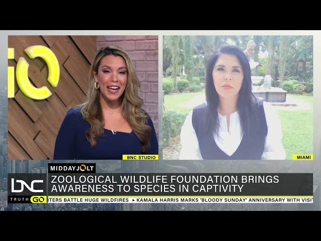 Miami’s Zoological Wildlife Raises Awareness for Species in Captivity