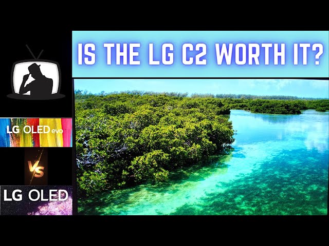 LG 2022 C2 EX OLED vs 2021 C1 Comparison | Actual Differences Explained | Is It Worth It?