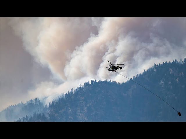 Lytton, B.C., wildfire likely caused by humans, official says