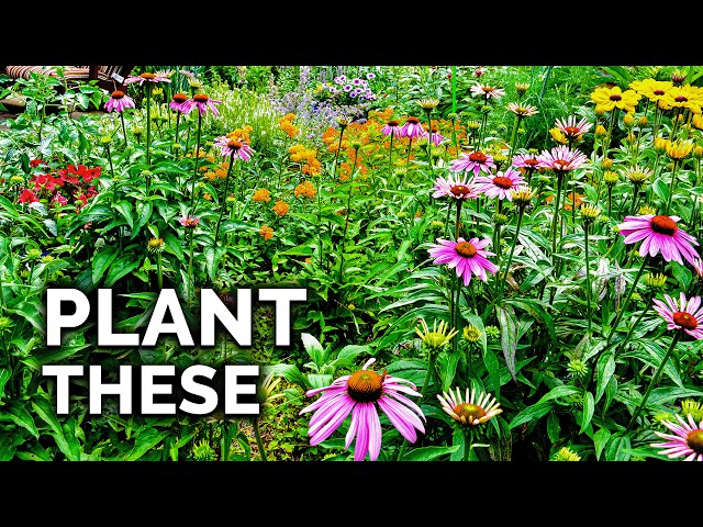 How to Plant a Pollinator Garden