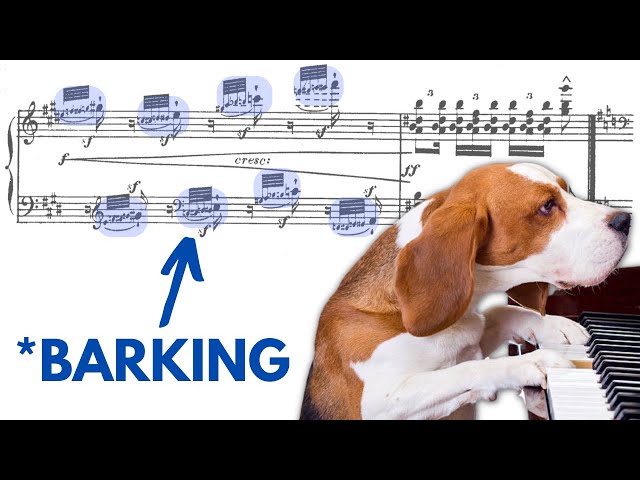 Dogs According to Piano Music