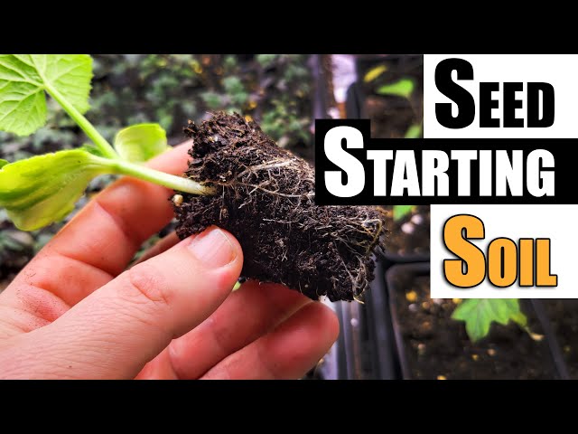 DIY Seed Starting Soil Made Easy