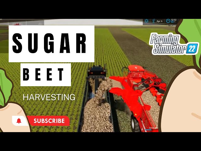 Farming Simulator 22 Sugar Beet Harvesting w/ 4 Holmer Terra T4-40 #fs22 #farmSimulator22 #johndeere