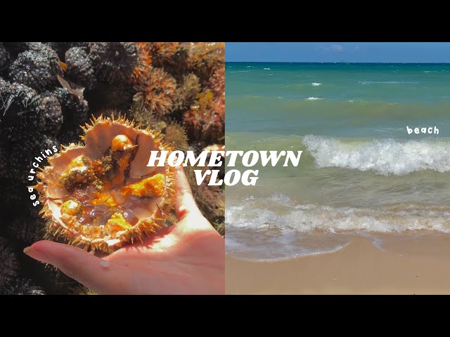HOMETOWN VLOG 🍃 | waking up at 4:00 am, road trippin’, beach, seafoods, sea urchins