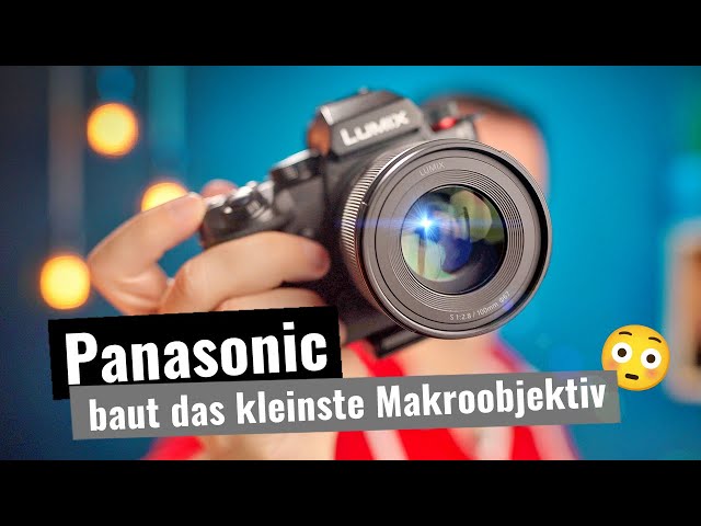 Panasonic Lumix S 100mm F2.8 Makro 𑗅 TEST 𑗅 REVIEW