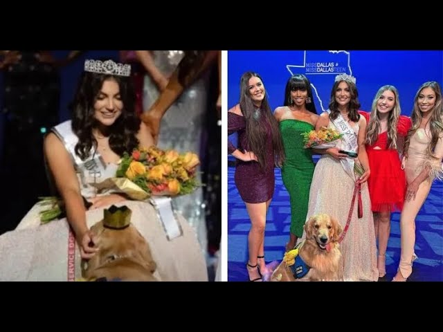 Hard working Service Dog Also Got A Crown At The Miss Dallas Teen Pageant