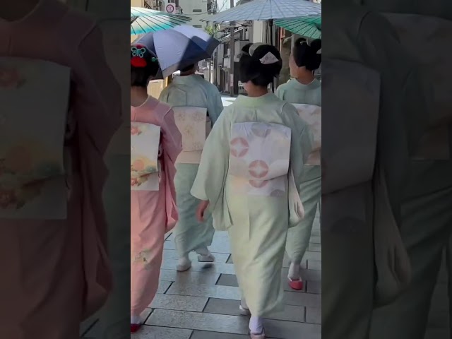 日傘をさして挨拶まわりされる舞妓さん #京都 #舞妓
