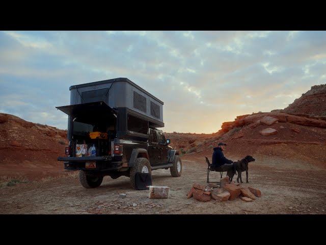 Solo Camping In My Jeep Gladiator with My Dog