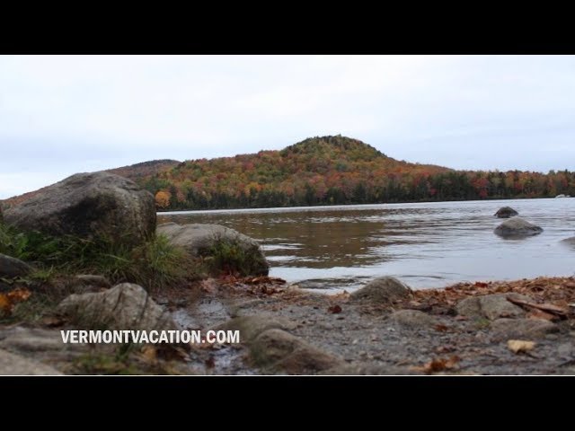Vermont Foliage: The Importance of Forestry