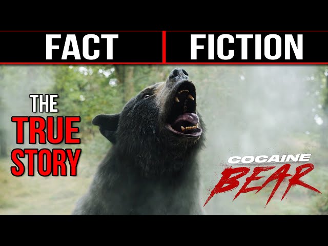 Cocaine Bear: What's Fact and What's Fiction?