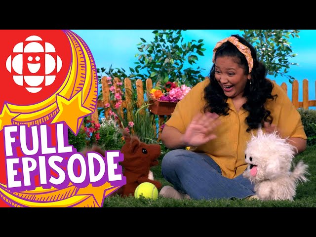 Silly Paws | Fetch | CBC Kids