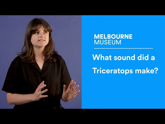Ask a Palaeontologist: What sound did a Triceratops make?