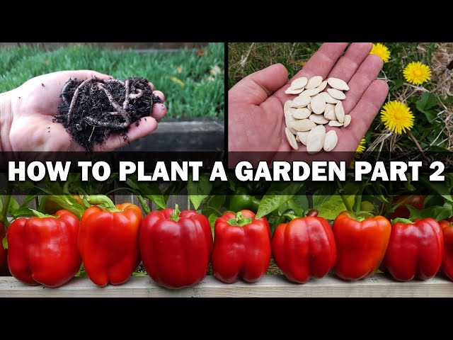 Growing Your First Garden - Episode 2 of 4