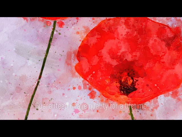 Premium Handmade Art Print "Two Field Poppies in Watercolors" by Dreamframer Art