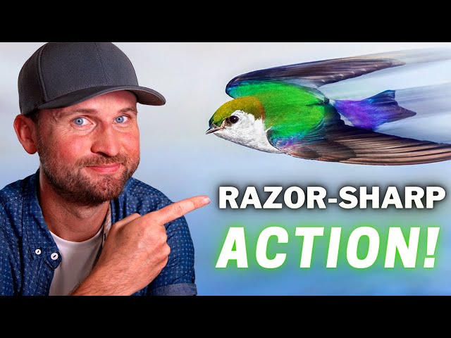 Start Capturing RAZOR-SHARP Birds in FLIGHT & ACTION Photos!