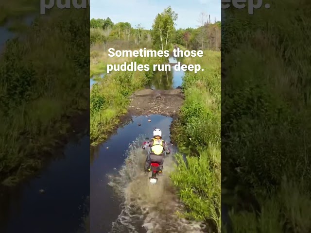 Honda CRF300L Rally vs the Ultimate Puddle