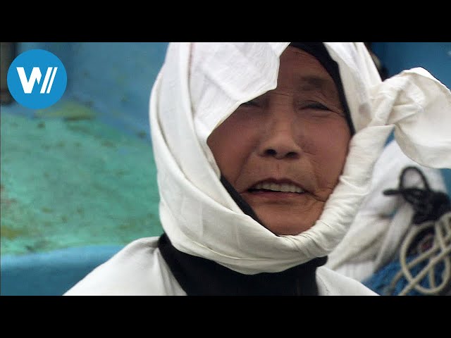 Die Meerfrauen von Japan (360° - GEO Reportage)