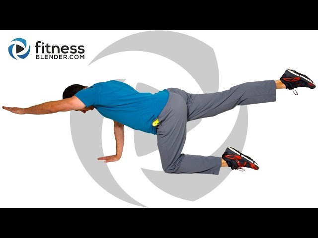 Beginner Abs, Obliques and Lower Back Workout - Stretch and Tone for Core Stability and Back Health