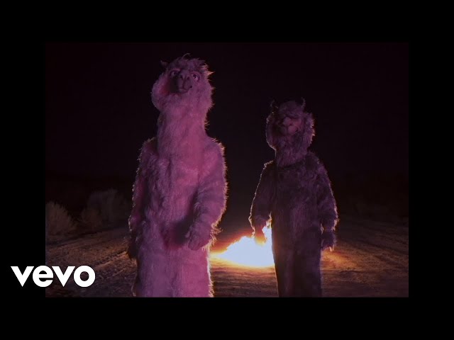 Fall Out Boy - The Last Of The Real Ones (Official Music Video)