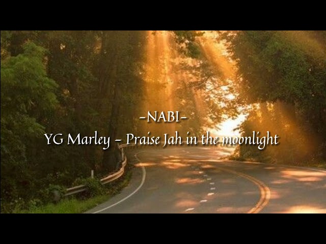 YG Marley - Praise Jah in the moonlight (sped up)