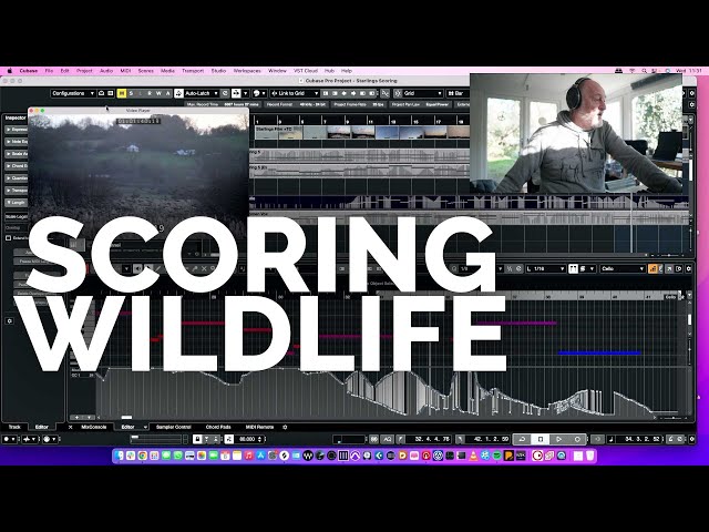 Scoring Wildlife Films with Guy Michelmore